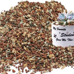 Bonsai Succulent Soil Potting Mix Ready to use Azalea Orchid Grow Potting Soil Plant Decorative Cover for Cactus 2.2LB Perlite Pumice Lava Rocks for Plants