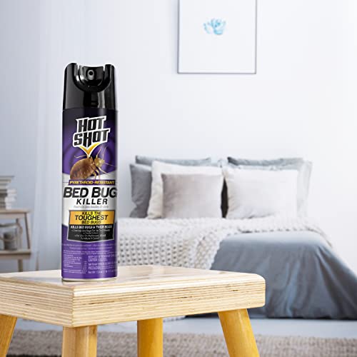 Hot Shot Bed Bug Killer Aerosol, Bed Bug Treatment, 17.5 oz