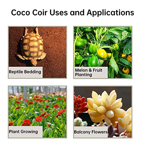 Tileon Coco Coir Brick 1.4lbs, Coconut Block Expands 2.3 Gallons / 9 Quarts Organic Potting Soil, Peat Moss for All Plants, Seeds and Seedlings