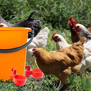 UCandy Pack 10 Chicken Waterer Cups,Chicken Feeder Cup for Chicken Duck Turkey Rabbit,3/8 Inch Thread Automatic Filling,Solution for Poultry Watering (10) (10)