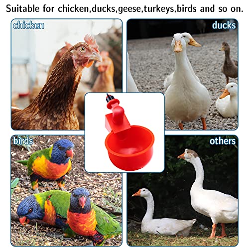 UCandy Pack 10 Chicken Waterer Cups,Chicken Feeder Cup for Chicken Duck Turkey Rabbit,3/8 Inch Thread Automatic Filling,Solution for Poultry Watering (10) (10)