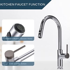 LQS Kitchen Faucet with Pull Down Sprayer, Sink Faucet, Single Handle Kitchen Faucet, High Arc Kitchen Sink Faucets, Faucet for Kitchen Sink, Chrome