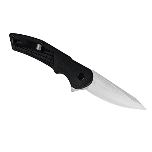 Buck Knives 261 Hexam Folding Pocket Knife, 3.35" Stainless Steel Blade, Pocket Clip (Black)