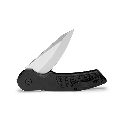 Buck Knives 261 Hexam Folding Pocket Knife, 3.35" Stainless Steel Blade, Pocket Clip (Black)