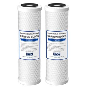 ipw industries inc. lead, taste and odor filter cartridges compatible to kenmore 42 34377 and 42 34370 - made in usa - set of 2