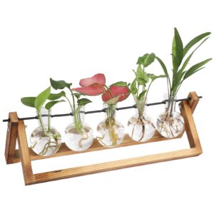 plant terrarium, plant propagation stations with wooden stand, gift for women, office decoration - 5 bulb vase