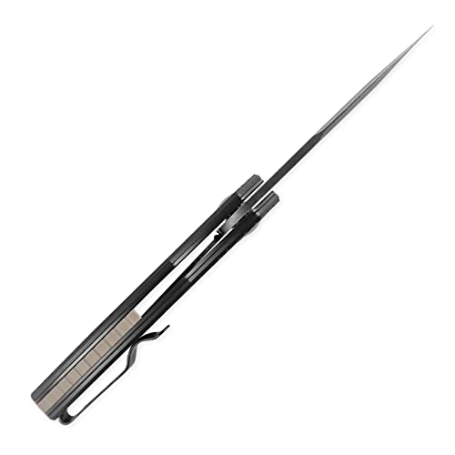 Kizer Roach Mini Black Pocket Knife, 3 Inch 154CM Steel Folding Knife with Clip, G10 Handle EDC Knife, V3477C2