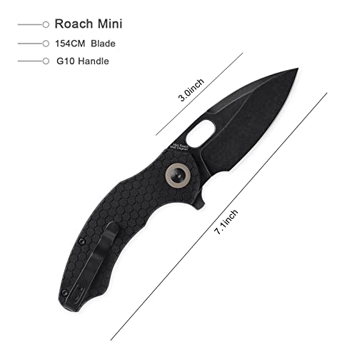 Kizer Roach Mini Black Pocket Knife, 3 Inch 154CM Steel Folding Knife with Clip, G10 Handle EDC Knife, V3477C2