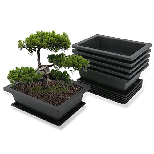 MissFox Bonsai Bowl with Saucer, Flower Pot Rectangular Plastic Bonsai Pot Set Plant Pot for Garden, 6 Pieces Flower Pots Large with Tray, 23 x 17 x 8 cm