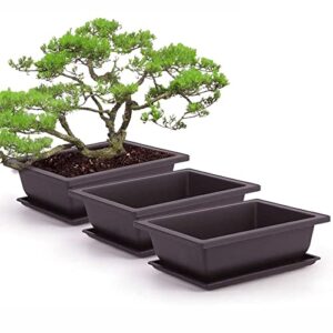 MissFox Bonsai Bowl with Saucer, Flower Pot Rectangular Plastic Bonsai Pot Set Plant Pot for Garden, 6 Pieces Flower Pots Large with Tray, 23 x 17 x 8 cm