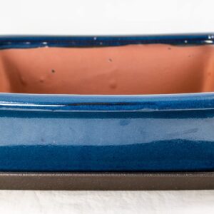 Calibonsai Rectangular Glazed Bonsai Pot, Cactus & Succulent Planter + Tray + Mesh 12 x 9 x 4 - Dark Blue Stain