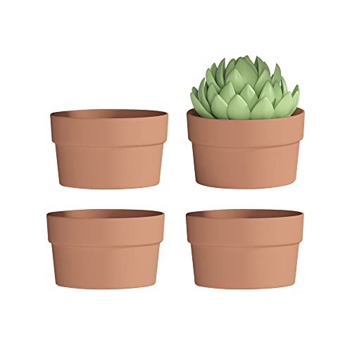 Fcacti 7 Inch Terracotta Shallow Succulent Pot - 4 Pack Large Terra Cotta Clay Pots with Drainage Hole, Round Shallow Terra-Cotta Bonsai Pot for Indoor/Outdoor Plants