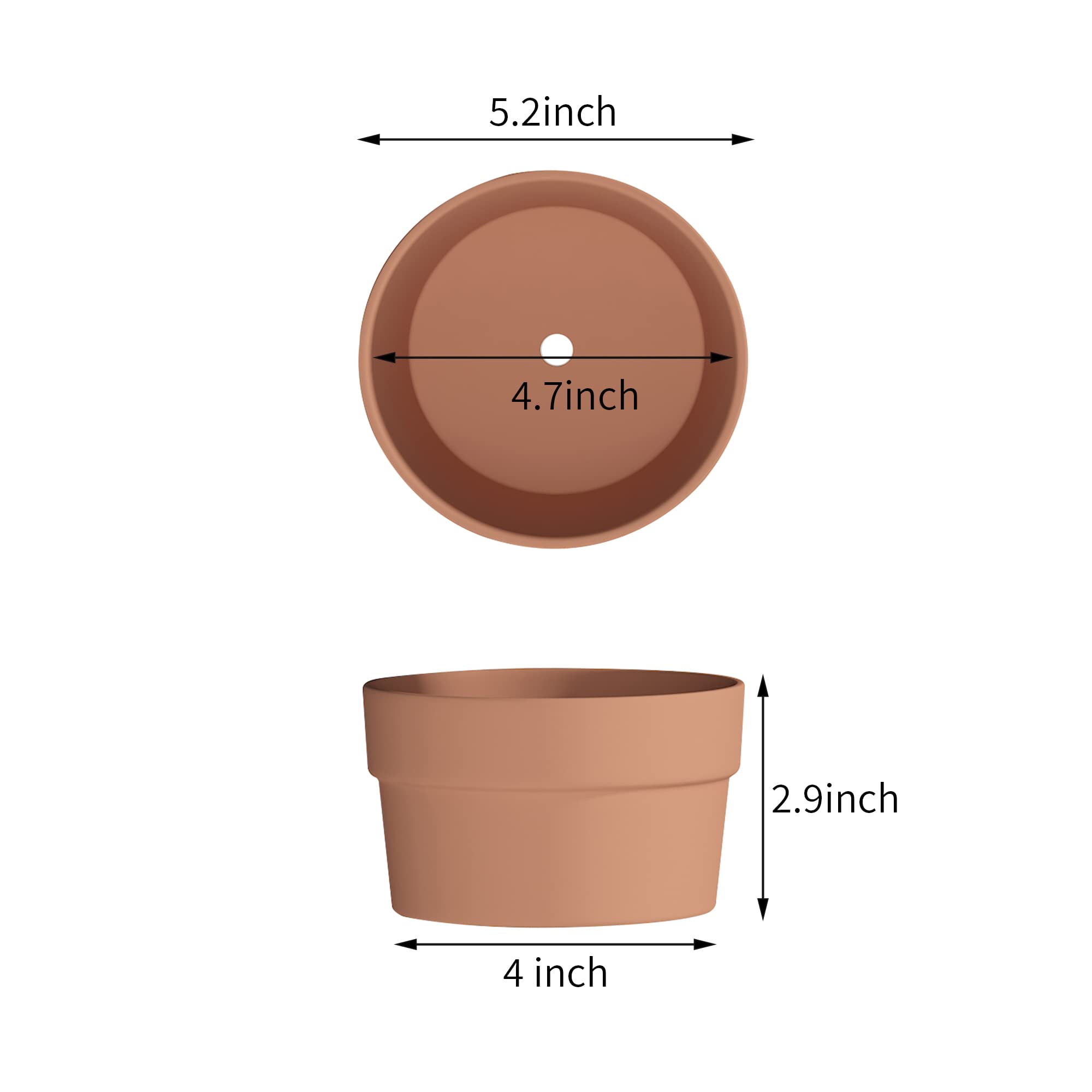 Fcacti 5 Inch Terracotta Shallow Succulent Pot - 8 Pack Medium Terra Cotta Clay Pots with Drainage Hole, Round Shallow Terra-Cotta Bonsai Pot for Indoor/Outdoor Plants