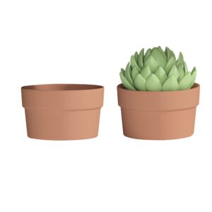 fcacti 10 inch terracotta shallow succulent pot - 2 pack large terra cotta clay pots with drainage, round shallow terra-cotta bonsai pot for indoor/outdoor plants
