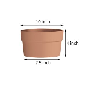 Fcacti 10 Inch Terracotta Shallow Succulent Pot - 2 Pack Large Terra Cotta Clay Pots with Drainage, Round Shallow Terra-Cotta Bonsai Pot for Indoor/Outdoor Plants