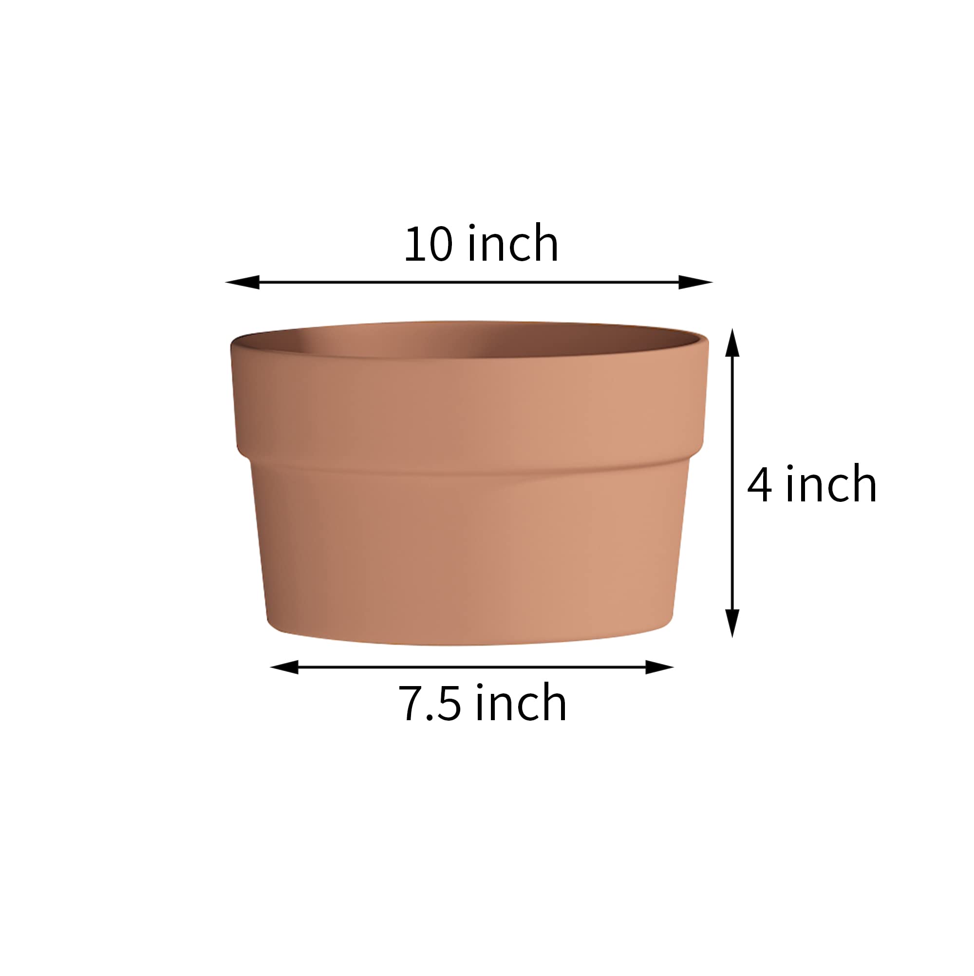 Fcacti 10 Inch Terracotta Shallow Succulent Pot - 2 Pack Large Terra Cotta Clay Pots with Drainage, Round Shallow Terra-Cotta Bonsai Pot for Indoor/Outdoor Plants