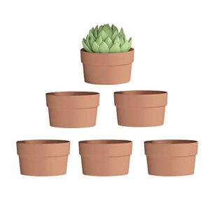 fcacti 6 inch terracotta shallow succulent pot - 6 pack large terra cotta clay pots with drainage hole, round shallow terra-cotta bonsai pot for indoor/outdoor plants