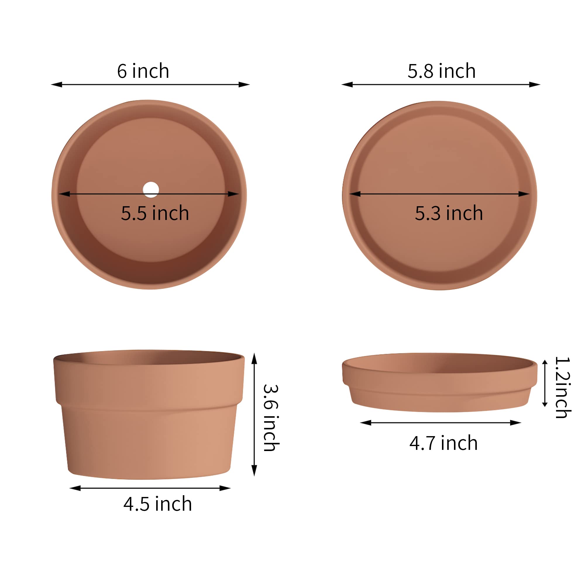 Fcacti 4 Pack 6 Inch Terracotta Shallow Succulent Pot - Large Terra Cotta Clay Pots with Saucer, Round Shallow Terra-Cotta Bonsai Pot with Drainage Hole for Indoor/Outdoor Plants