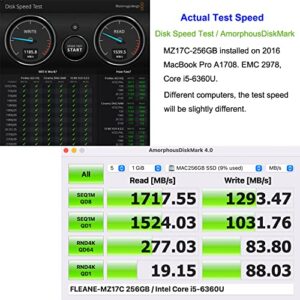 FLEANE 256GB MZ17C PCIe NVMe SSD Compatible with MacBook Pro 2016 2017 A1708 Solid State Drive (256GB)