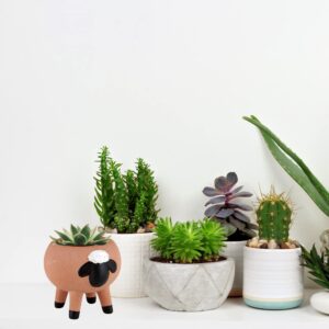 Small Ceramic Sheep Planter, Mini Planting Pots for Succulents, Cacti, and Indoor House Plants, 2.55 Inches