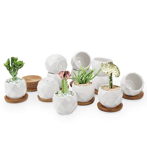 ZOUTOG Succulent Plant Pot 12 Pack, 2.5 inch Square Pattern Ceramic Planters with Bamboo Tray, Small Succulent Pots for Indoor Plants, White Office Desk Decor (Seeds＆ Plants Not Included)