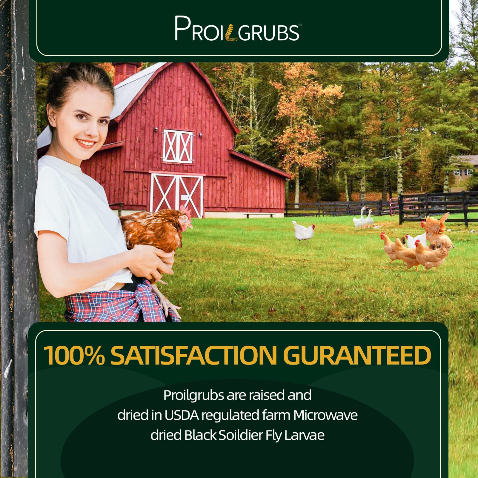 PROILGRUBS 10 LBS - Non-GMO-Dried Worms for Chickens All Natural Dried Black Soldier Fly Larvae Treats, Dried Meal Worms for Chickens, Hens, Birds...