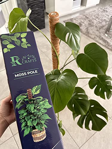 Rcraft 63 Inch Tall Moss Pole for Plants Monstera 4 Pack with Hemp Rope, Bendable Stakes for Indoor Plants Support/Totem Pole, Climbing Plants Sticks for Growth- Perfect for Medium/Large House Plants