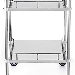 Lesolar Lab Rolling Cart 2 Layer Medical Utility Cart with 360° Rotate Wheels Mobile Clinic Cart Laboratory Equipment Rolling Cart 24''Lx16''Wx34''H (2 Layer)