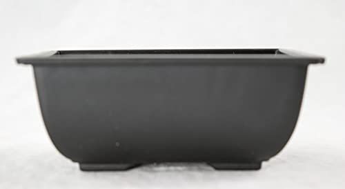 30 Rectangular Black Plastic Bonsai Training Pot, Cactus & Succulent Planter - 5"x 3.5"x 2"