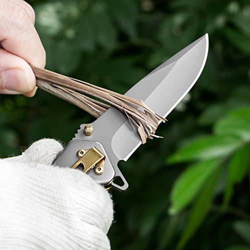 TOYO HOFU Pocket Knife with Clip,Folding Utility knife,Sharp Survival Knife for Self Defense,Spring Assisted Tactical Knife, Gift for Father, Men,Women(Silver)