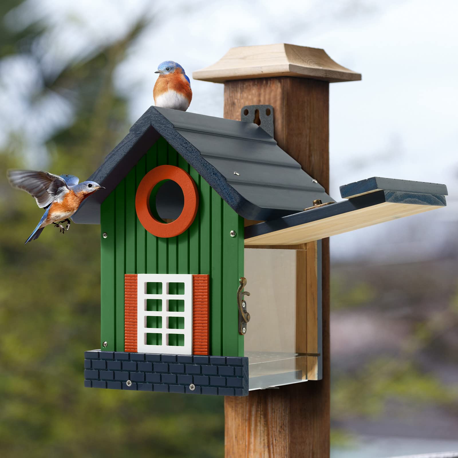 Kingsyard Design Bird House with Predator Guard, Colorful Birdhouse for Bluebird Wren Chickadee, Nesting Box for Wild Bird Watching, Orange