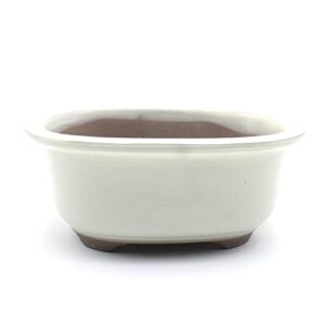 bonsai pot ceramic seto-yaki oval shaped glazed with rim(6.5", cream-yu)