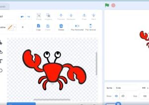 Scratch Coding for Kids 8-12 Course: Learn to Code - Custom Block Coding Projects and Games - Computer Programming for Beginners - Scratch Coding Curriculum (PC, Mac, Chromebook Compatible)