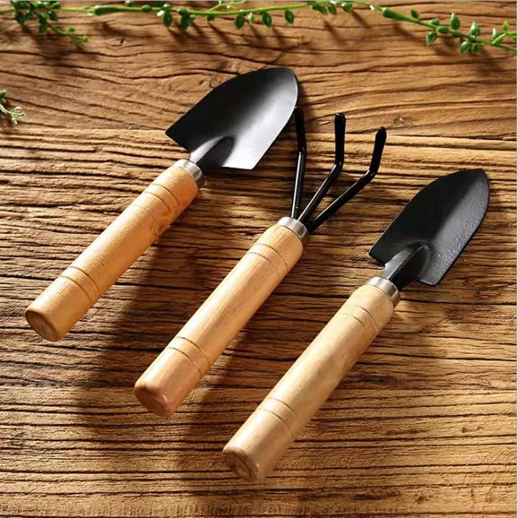 3Pcs Succulent Tools, This Tool Set is Especially Suitable for Office Gardening, Desktop Gardening and Indoor Bonsai,It Helps You All Kinds of Small Potted Plants，Meets Your Gardening Needs