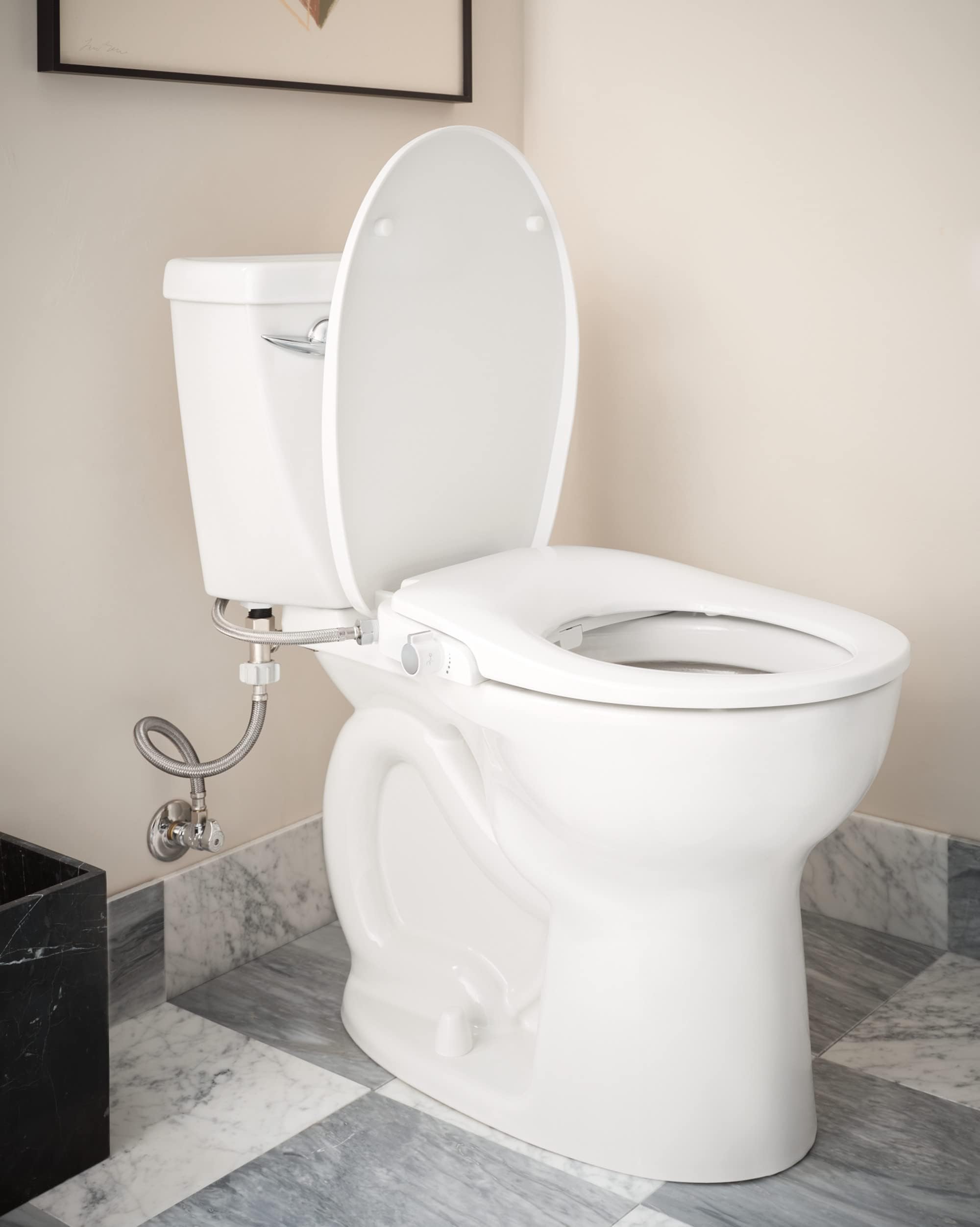 Moen EB500-R 2-Series Standard Non-Electronic Bidet Seat for Round Toilets, White