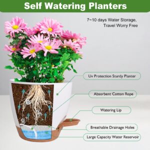 Vanslogreen Plant Pots for Indoor Plants 5 Pack Self Watering Planters, 7/6.5/6/5.5/5 Inch Self Watering Pots with Drainage Hole Plastic Flower Pot for Herbs, Succulents, African Violet (White)