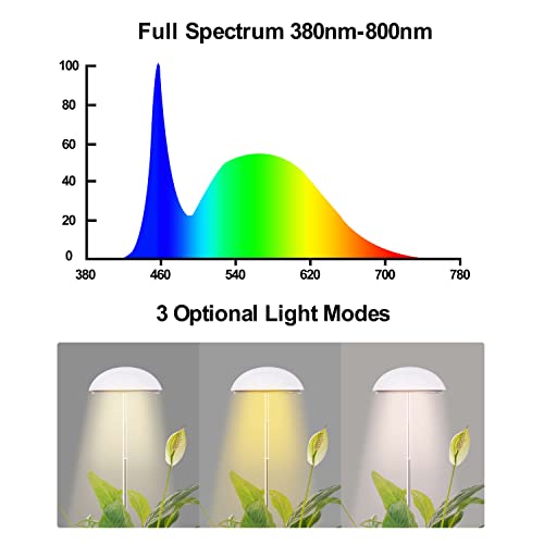 Grow Lights for Indoor Plants, POTEY 2 Heads Full Spectrum LED Plant Light, Height Adjustable Growing Lamp with Auto On/Off Timer 3/6/12H, 5 Dimmable Brightness