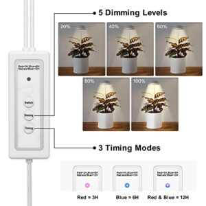 Grow Lights for Indoor Plants, POTEY 2 Heads Full Spectrum LED Plant Light, Height Adjustable Growing Lamp with Auto On/Off Timer 3/6/12H, 5 Dimmable Brightness