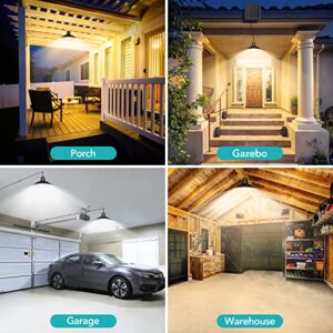 AGPTEK Solar Pendant Lights Outdoor Indoor, Dual Head Solar Shed Lights IP65 Waterproof Solar Lamp Indoor Solar Lights with Remote for Shed, Gazebo, Home, Patio, Barn, Chicken Coop, Porch, Garage