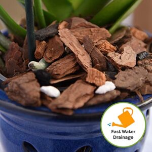 Perfect Plants Premium Orchid Bark 4qt. | Mulch Mix for Epiphytic Plants | Base for Orchid Potting Soil Substrate