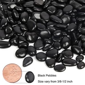 GASPRO 2.5 Pound Black Pebbles for Indoor Plants, 3/8 Inch Natural Black River Rocks for Vase, Garden, Landscaping, Succulents, Highly Polished and Smooth Surface