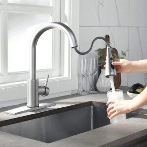 LEPO Brushed Nickel Pull Out Kitchen Sink Faucet, Modern Stainless Steel Single Handle High Arc Rv Faucet with Pull Down Sprayer and Deck Plate