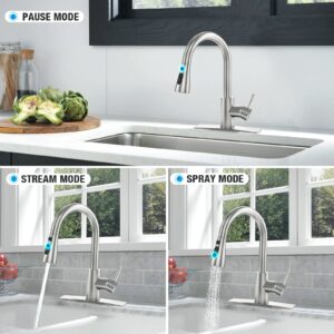 LEPO Brushed Nickel Pull Out Kitchen Sink Faucet, Modern Stainless Steel Single Handle High Arc Rv Faucet with Pull Down Sprayer and Deck Plate