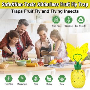 Fly Trap for Indoors, Fruit Fly Trap with Yellow Double Side Sticker, Fruit Fly Killer, Non-Toxic Fly Catcher Gnats Trap Comes with Fruit Fly Attractants for Home/Plant/Kitchen