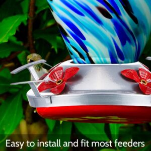 Hummingbird Feeder Bottom Set Hummingbird Feeder Accessories Outdoors Feeder Bottom Plastic Hummingbird Feeders Accessory Hooks Hummingbird Feeder Brushes