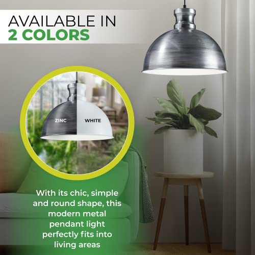 Bio Green 500-USZ Florabooster LUM 500 Grow Indoor 60w Lightbulb Lamp with 3m Connection Cable – Energy Saving House Plants – High Light Intensity, Brushed zinc