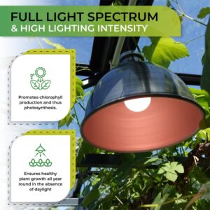 Bio Green 500-USZ Florabooster LUM 500 Grow Indoor 60w Lightbulb Lamp with 3m Connection Cable – Energy Saving House Plants – High Light Intensity, Brushed zinc