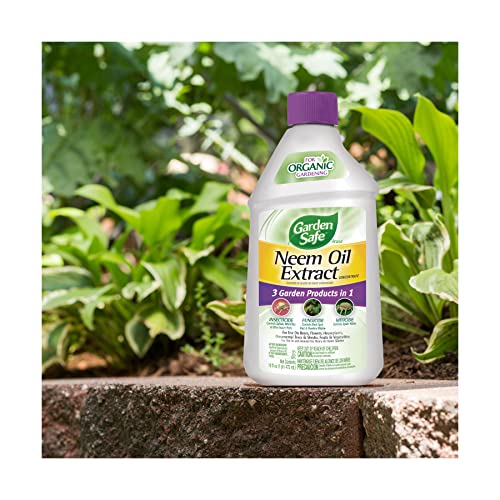 Garden Safe Neem Oil, 10 Fl Oz,  Case Pack of 6