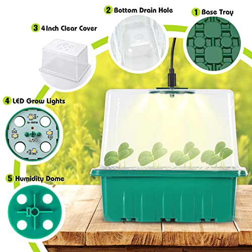 KENNEDICH Seed Starter Tray, 5 Pack Seeding Starter Growing Kit with Light, Grow Trays for Seeds Starting, Indoor Gardening Plant Germination Trays with Adjustable Humidity and 4" Heigher Cover