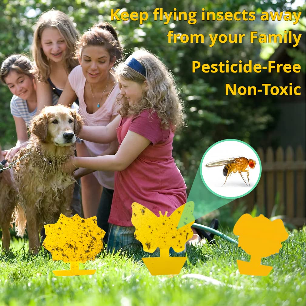 PLANTCHY 24 Pcs Fruit Fly Traps Yellow Sticky Traps Pest Insect Bug Catcher Killer Fungus Gnat Traps for House Indoor Outdoor Plants and Kitchen, Non-Toxic and Odorless, 4 Shapes